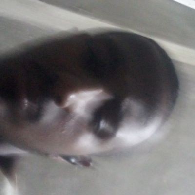 eyobmulubrihan