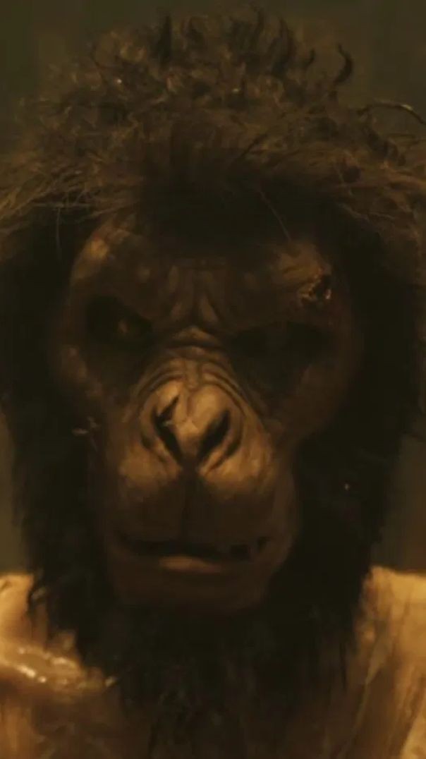 Monkey Man 😡😡 የቅዳሜ ምርጥ ፊልም ብይዋልው