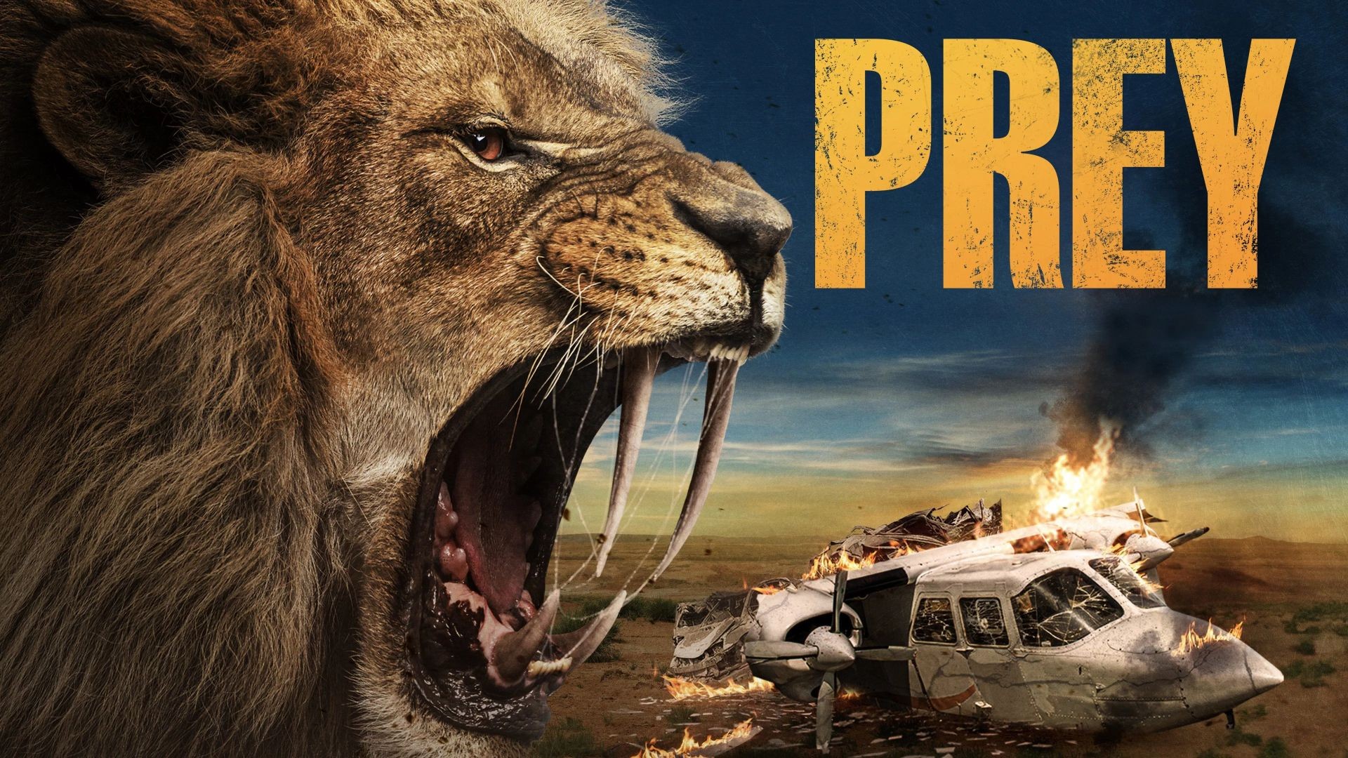 Prey (2024) በአማርኛ ትርጉም